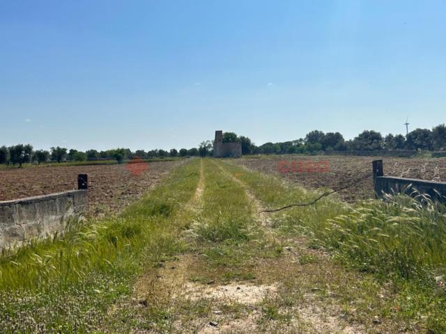 Terreno in vendita a Puglia, Brindisi