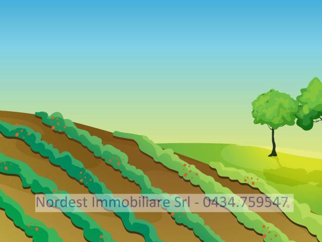 Terreno in vendita a Gaiarine, Veneto
