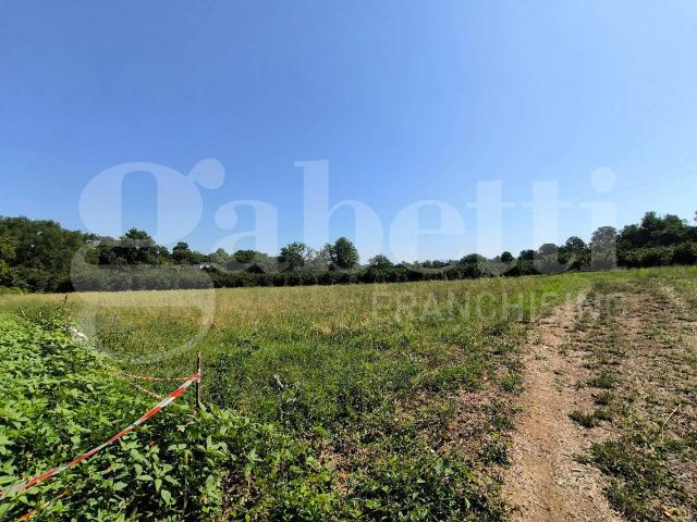 Terreno in vendita a Gallese, Lazio