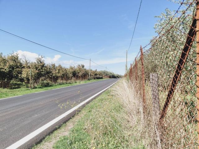 Terreno in vendita a Gallese, Lazio