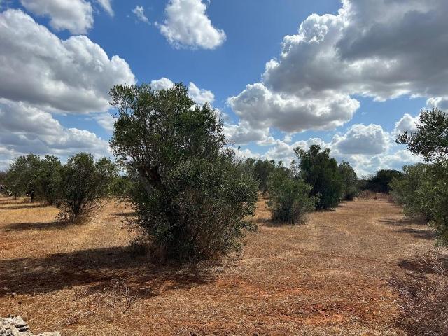 Terreno in vendita a Puglia, Lecce