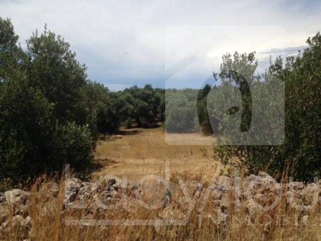Terreno in vendita a Puglia, Lecce