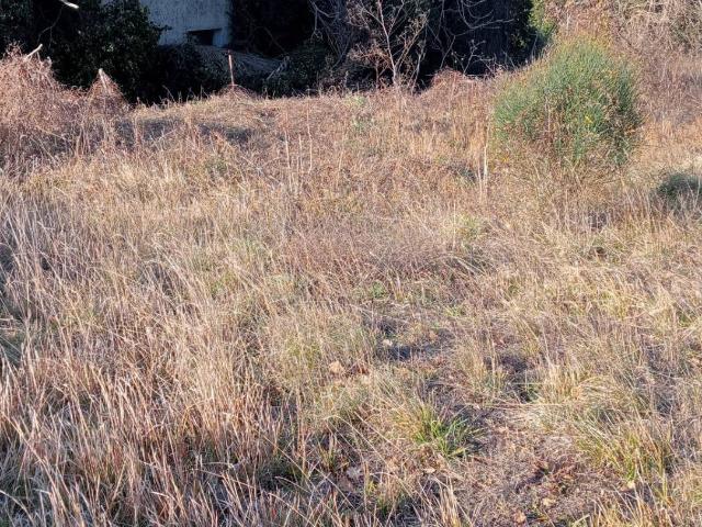 Terreno in vendita a Marche, Ancona