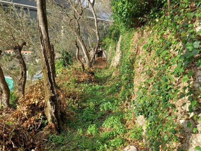 Terreno in vendita a Levante, Serra Riccò