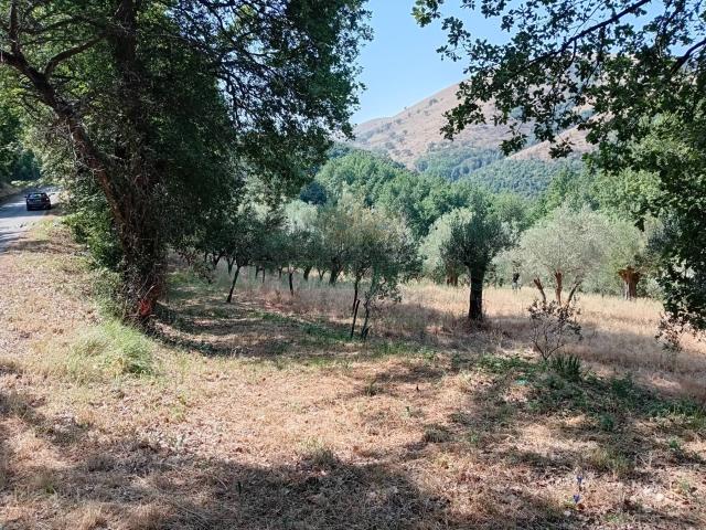 Terreno in vendita a Giano Vetusto, Campania