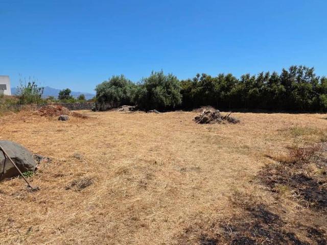 Terreno in vendita a Giarre, Sicilia