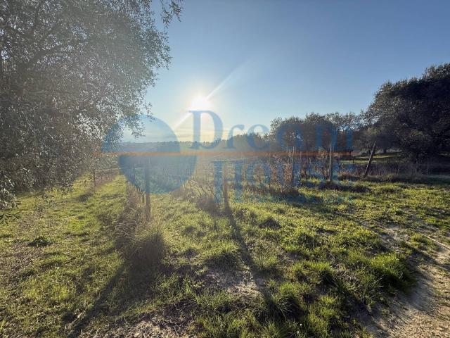 Terreno in vendita a Giulianova, Abruzzo