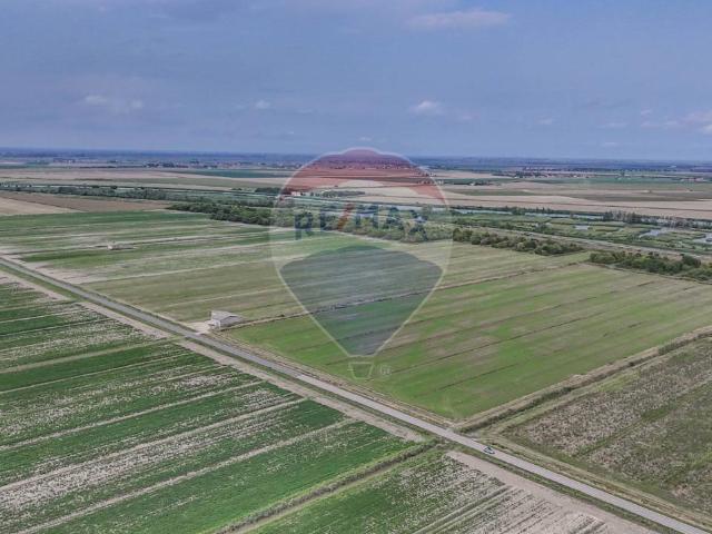 Terreno in vendita a Unione Delta del Po, Goro