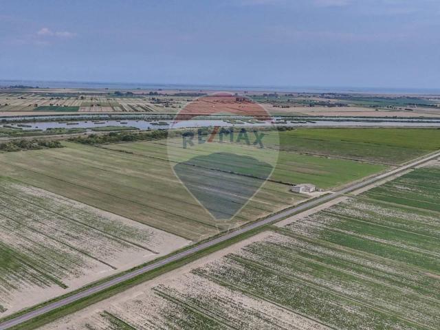 Terreno in vendita a Unione Delta del Po, Goro