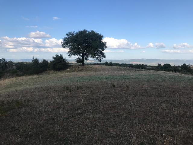 Terreno in vendita a Unione di Comuni Montani Colline del Fiora, Sorano