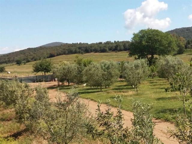 Terreno in vendita a Monte Argentario, Toscana