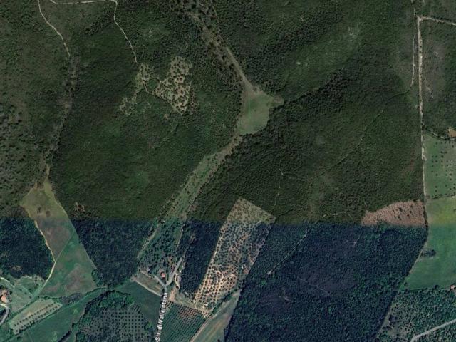Terreno in vendita a Monte Argentario, Toscana