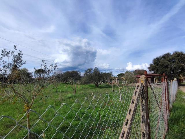 Terreno in vendita a Porta Nuova, Grosseto