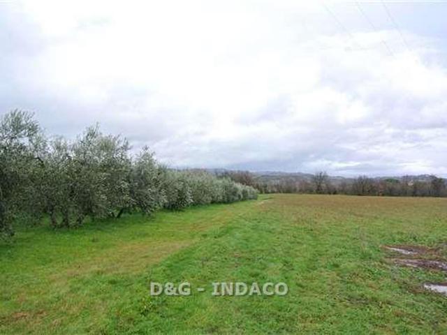 Terreno in vendita a Monte Argentario, Toscana
