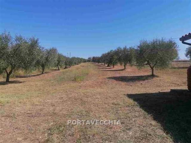 Terreno in vendita a Monte Argentario, Toscana