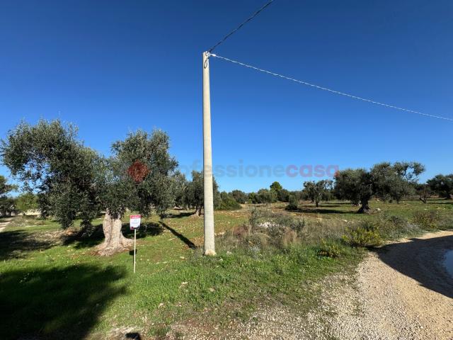 Terreno in vendita a Puglia, Taranto