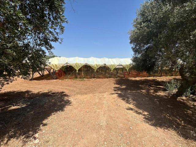 Terreno in vendita a Puglia, Taranto