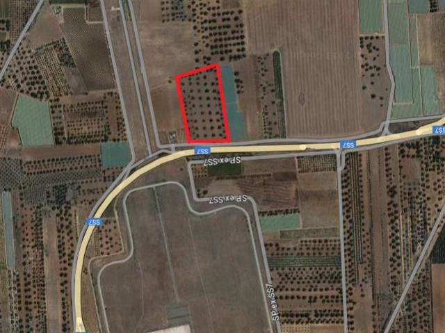 Terreno in vendita a Puglia, Taranto