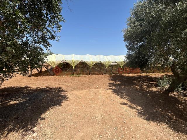 Terreno in vendita a Puglia, Taranto