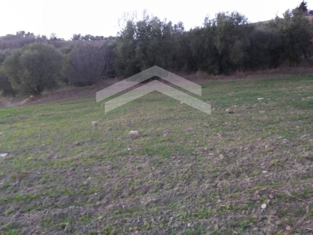 Terreno in vendita a Guardialfiera, Campobasso