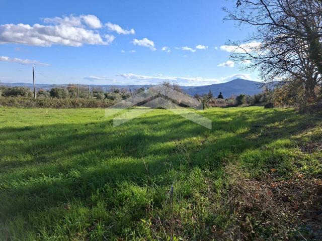 Terreno in vendita a Guardialfiera, Molise