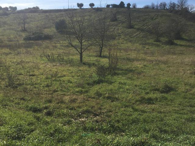 Terreno in vendita a Guidonia Montecelio, Roma Capitale