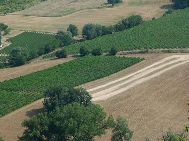 Terreno in vendita a Nuovo Circondario Imolese, Imola