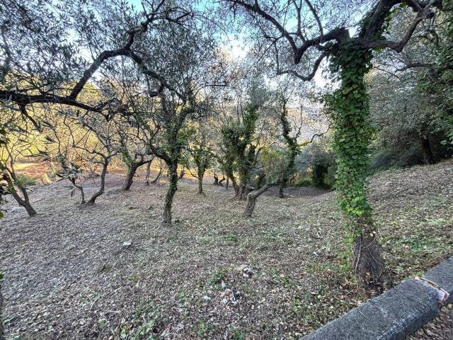 Terreno in vendita a Imperia, Liguria