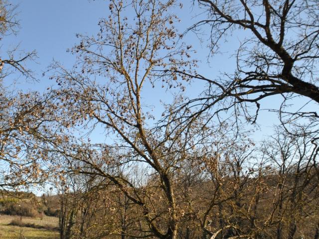 Terreno in vendita a Impruneta, Toscana