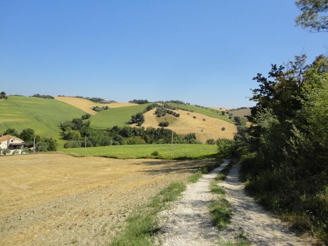 Terreno in vendita a Borgo Minonna, Marche