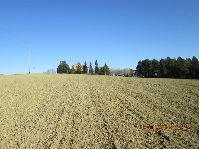Terreno in vendita a Marche, Ancona
