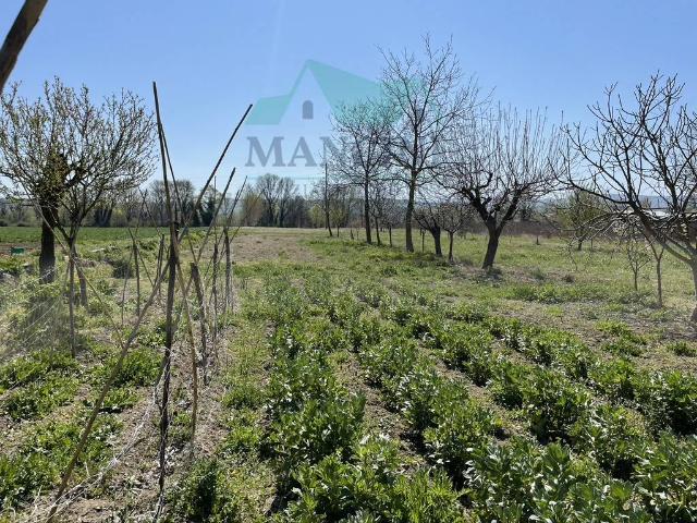 Terreno in vendita a Marche, Ancona