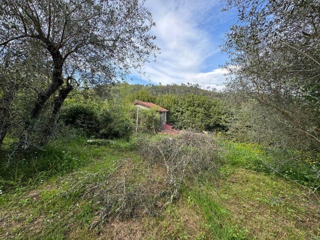 Terreno in vendita a Porta Rocca, La Spezia
