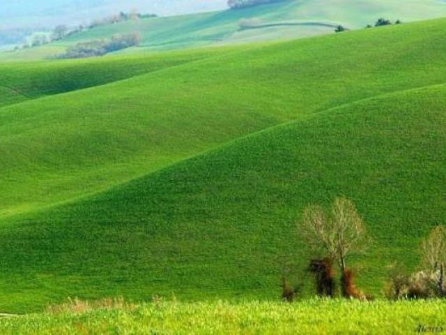 Terreno in vendita a Lajatico, Toscana