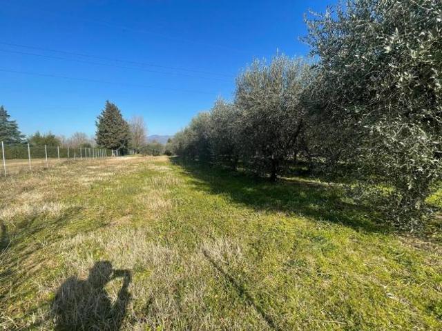 Terreno in vendita a Capannori, Toscana