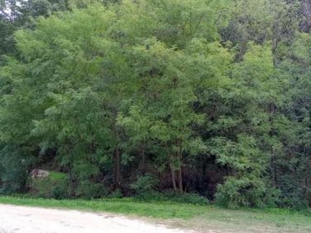 Terreno in vendita a Lamporecchio, Toscana