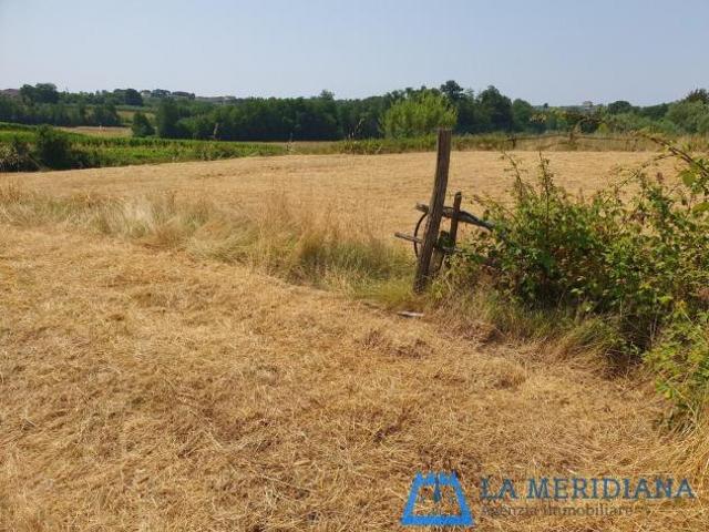 Terreno in vendita a Lamporecchio, Toscana