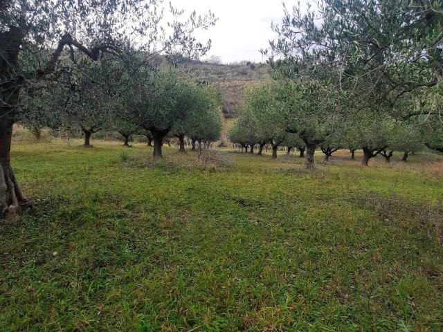 Terreno in vendita a Marche, Fermo