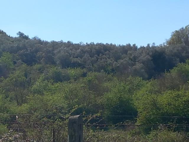 Terreno in vendita a Lastra A Signa, Toscana