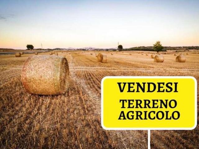 Terreno in vendita a Cascina, Toscana