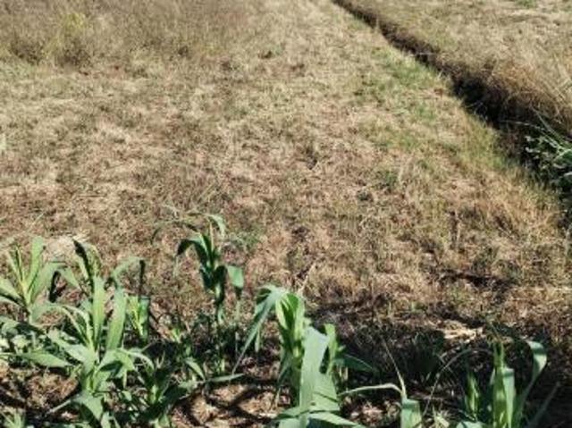 Terreno in vendita a Cascina, Toscana