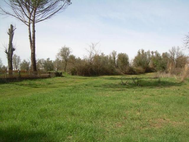 Terreno in vendita a Unione dei Comuni Circondario dell'Empolese Valdelsa, Cerreto Guidi