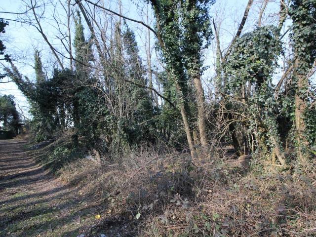 Terreno in vendita a Oltrestazione, Legnano