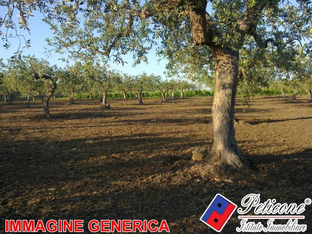 Terreno in vendita a Lenola, Lazio