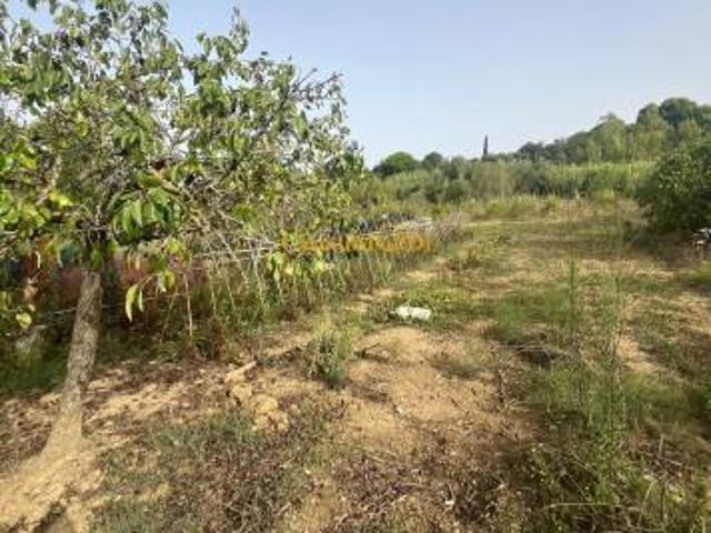 Terreno in vendita a Livorno