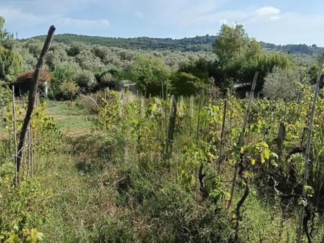 Terreno in vendita a Limoncino, Livorno