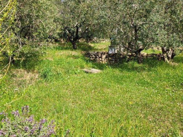 Terreno in vendita a Livorno, Toscana