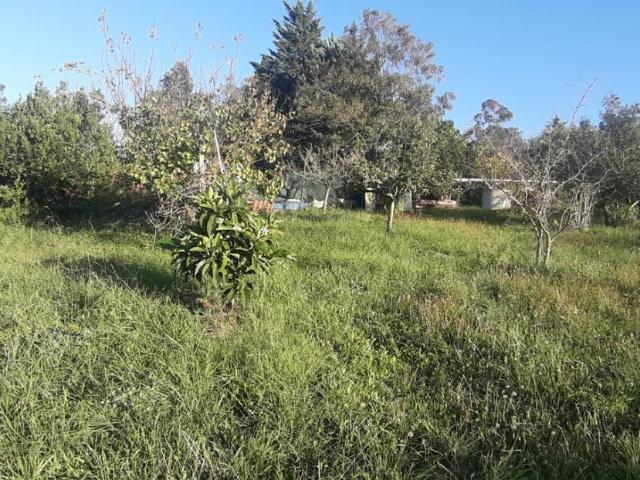 Terreno in vendita a Livorno, Toscana