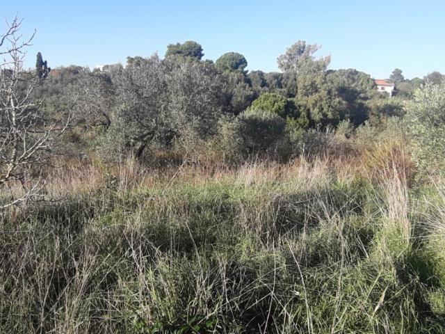 Terreno in vendita a Livorno, Toscana