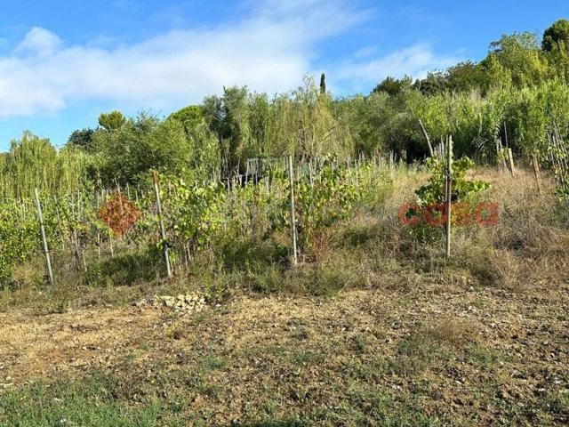 Terreno in vendita a Limoncino, Livorno
